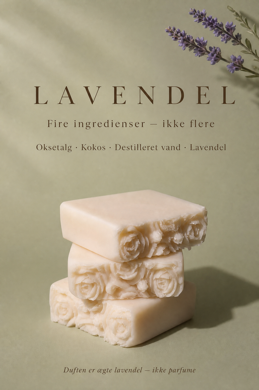 Lavendel