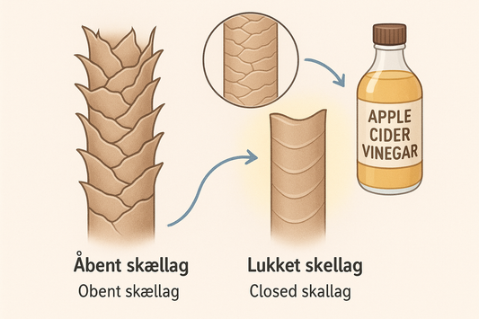 Illustration af hårstrå med lukket og åbent skællag — Visuel forklaring på, hvordan æblecidereddike lukker hårstråets skællag og gør håret glattere og blankere.